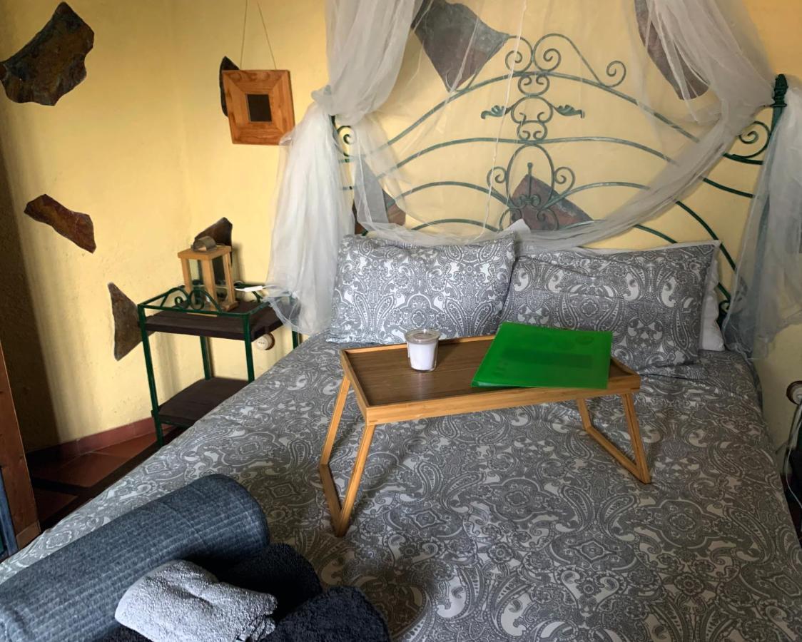 Canaria Hombre De Palo Gospodarstwo wiejskie